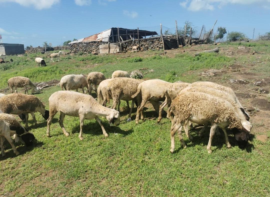 Panoramic Paradise La Ferme Εξωτερικό φωτογραφία
